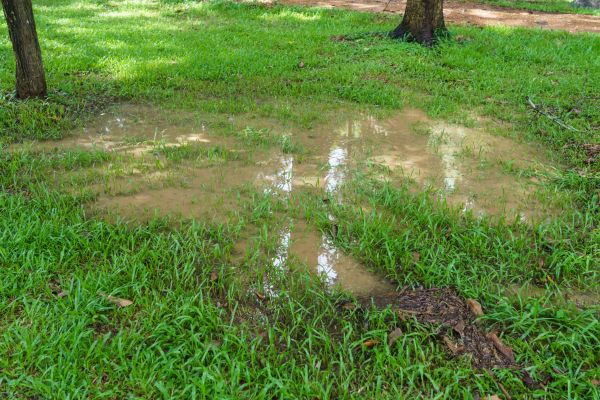 Storm Water Drainage Service in Nicholasville