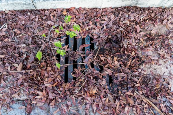 Yard Drain Unclogging in Nicholasville