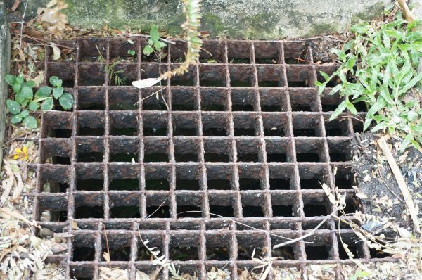 Yard Drain Cleaning in Nicholasville
