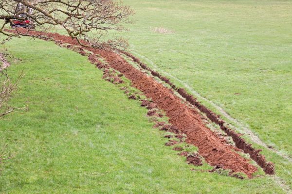 Cost of Swale Installation in Nicholasville