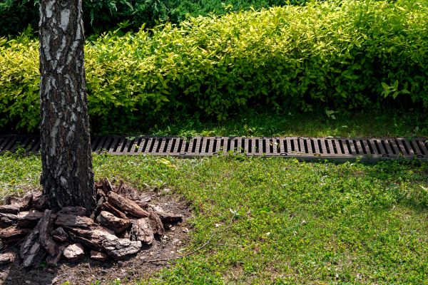 Garden Drainage Installation in Nicholasville