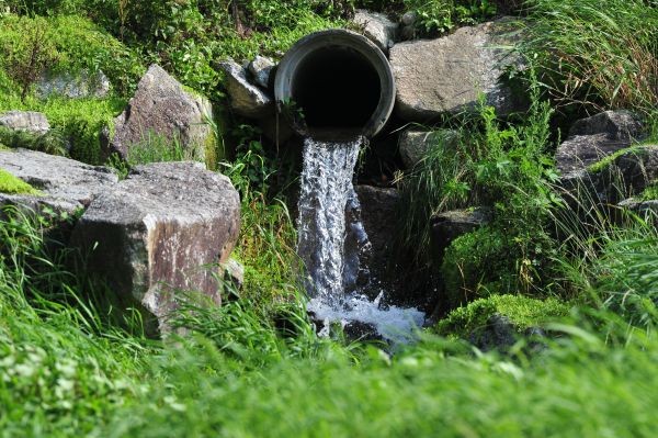 Water Redirection in Nicholasville