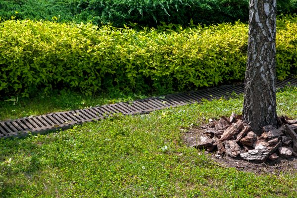 Residential Landscape Drainage in Nicholasville