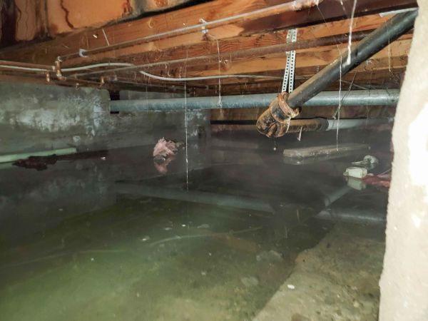 Cost of Crawlspace Drainage in Nicholasville