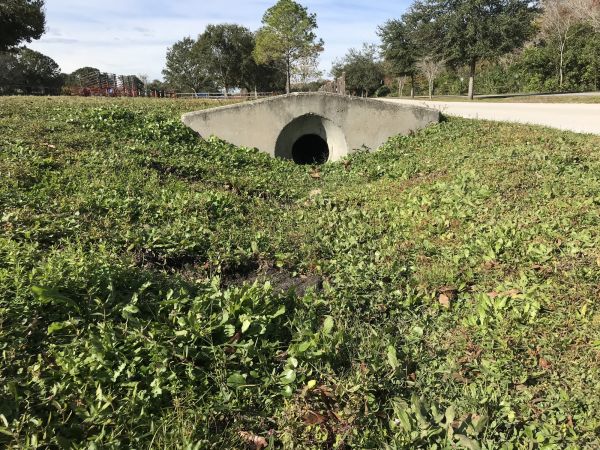 Cost of Swale Drainage Service in Nicholasville