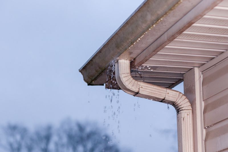 Gutter and Downspout Maintenance